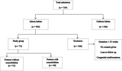 Correlation of anterior cerebral artery resistive index with early comorbidities in preterm neonates